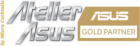 Réparation Asus Paris Asus Gold Partner